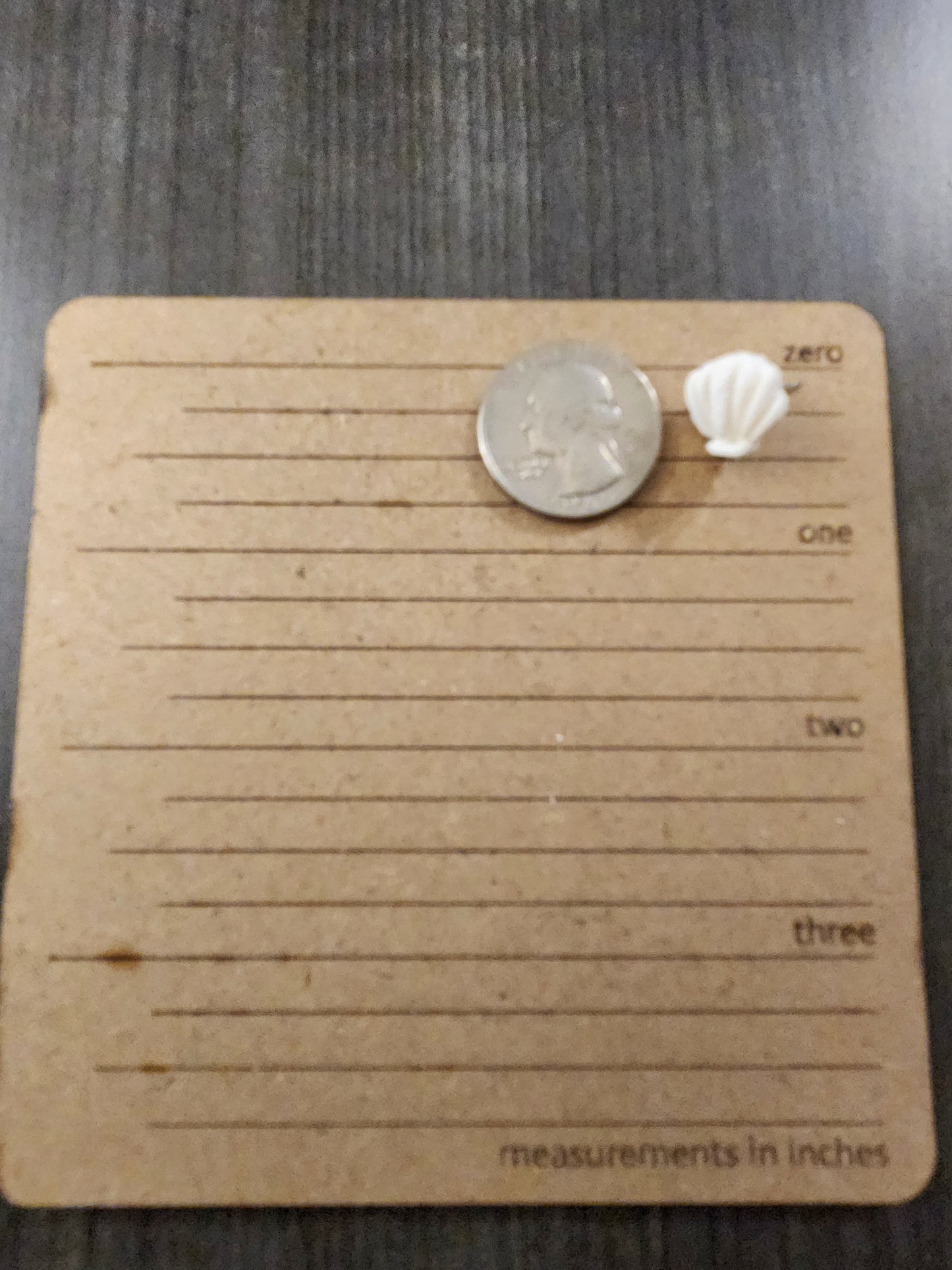 White Shell Studs
