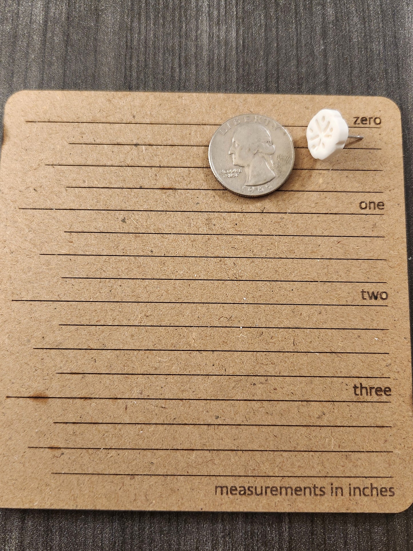 White Sand Dollar Studs